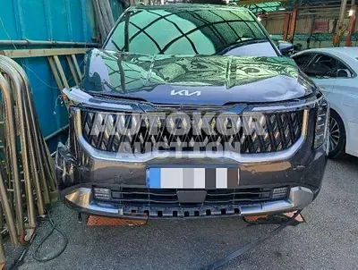 2024, Kia / Carnival, 39112 км., diesel, 2200 куб.см.