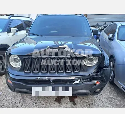 2018, Jeep / Renegade, 66286 км., gas