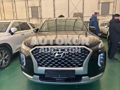 2020, Hyundai / Palisade, VIN: KMHR581ABMU234097, 135000 км., diesel
