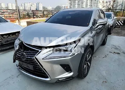2019, Lexus / NX 300, VIN: JTJBJRBZ6K2122128, 54315 км., hybrid