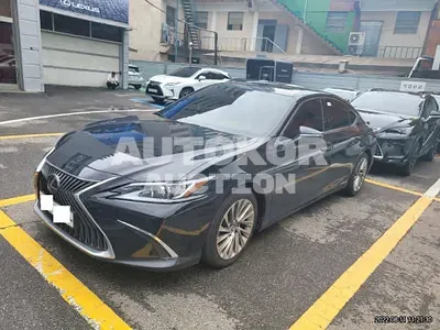 2019, Lexus / ES 300, VIN: JTHB21B14K2007733, hybrid