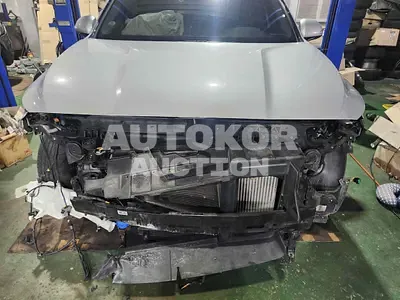 2019, Hyundai / Santa FE, VIN: KMHS381BBLU210734, 79943 км., diesel