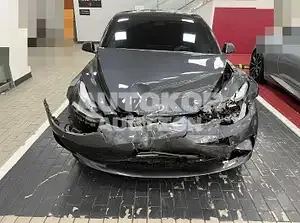 2021, Tesla / Model 3, VIN: 5YJ3E1EB0MF892109, 29168 км., electric, 255 куб.см.