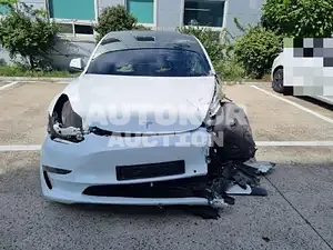 2022, Tesla / Model 3, VIN: 5YJ3E1EB2NF149338, 24807 км., electric, 236 куб.см.