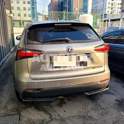 2016, Lexus / NX 300, hybrid