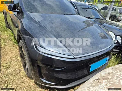 2025, Tesla / Model Y, VIN: LRWYGCFJXSC265443, electric, 1 куб.см.