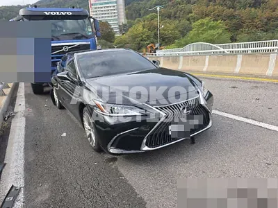 2019, Lexus / es300h, 165513 км., hybrid