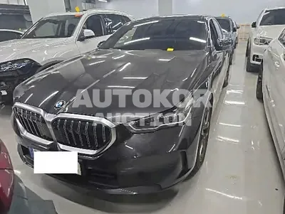 2024, BMW / 520i, 41461 км., gas
