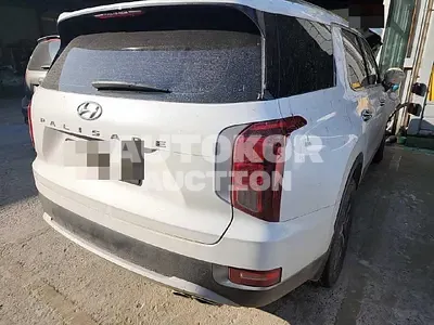 2019, Hyundai / Palisade, VIN: KMHR281ABLU109300, 60000 км., diesel, 2199 куб.см.