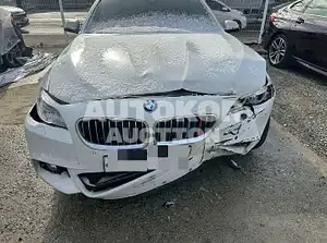 2015, BMW / 530, VIN: WBA5D3105FGV81390, diesel, 2933 куб.см.