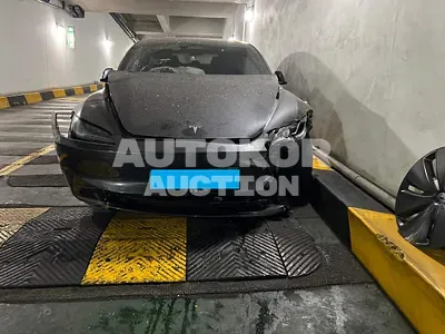 2024, Tesla / Model 3, VIN: LRW3E7EK0RC192224, electric