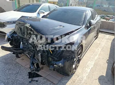2019, Kia / Stinger, VIN: KNAE751CBKS062844, gas