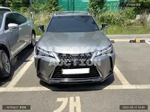 2019, Lexus / UX 250, VIN: JTHU9JBH6K2014202, 20756 км., hybrid