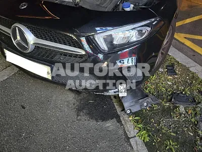 2020, Mercedes-Benz / A 220, VIN: W1K3G4EB3LJ215046, gas