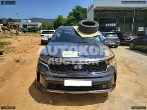 2020, Kia / Sorento, VIN: KNARL81BHMA008408, diesel