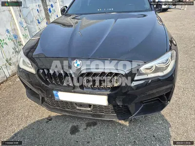 2016, BMW / 520, VIN: WBA5E5106GG071687, 167260 км., diesel, 1995 куб.см.