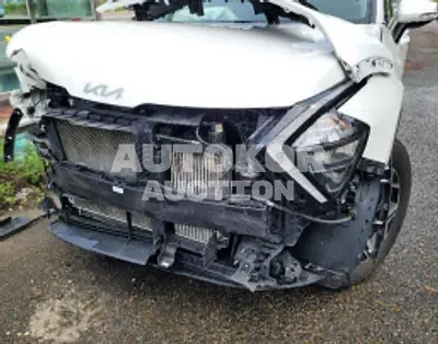 2022, Kia / Sportage, VIN: KNAPT81BGNK081702, 38139 км., gas