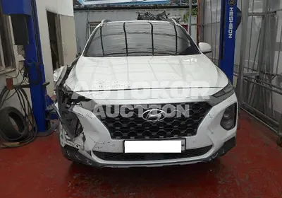 2020, Hyundai / Santa FE, VIN: KMHS381CDLU196628, diesel