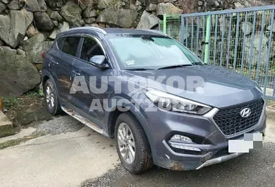 2018, Hyundai / Tucson, 111111 км., diesel, 2000 куб.см.