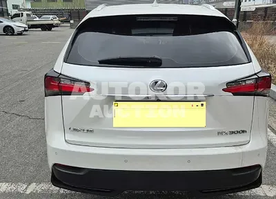 2016, Lexus / NX 300, 200000 км., hybrid