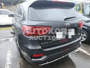 2019, Kia / Sorento, VIN: KNAPS81BBKA545743, diesel