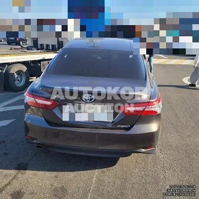 2019, Toyota / Camry, hybrid
