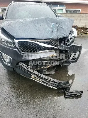 2015, Kia / Sorento, VIN: KNAPS81ABFA087399, 150000 км., diesel
