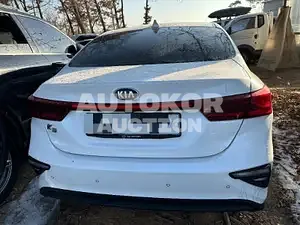 2019, BMW / Z1, VIN: KNAF241BEKA850284, 90000 км., gas