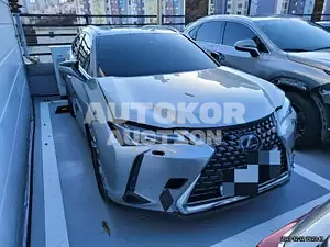 2019, Lexus / UX 250, VIN: JTHY6JBH2K2001652, 58163 км., hybrid