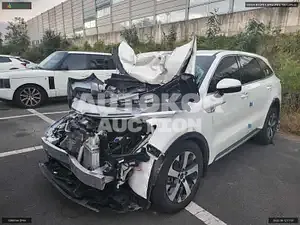 2021, Kia / Sorento, VIN: KNARF81BGMA095607, diesel
