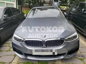 2019, BMW / 530, unknown