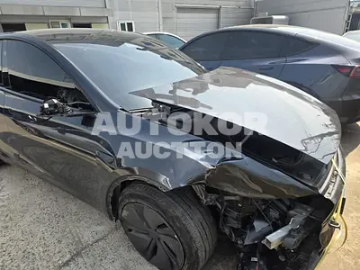 2025, Tesla / Model Y, VIN: LRWYGCEK3SC285835, electric, 1 куб.см.