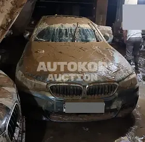 2017, BMW / 520, diesel