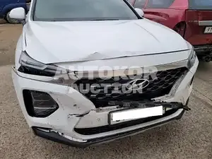 2019, Hyundai / Santa FE, VIN: KMHS381CBKU066794, diesel
