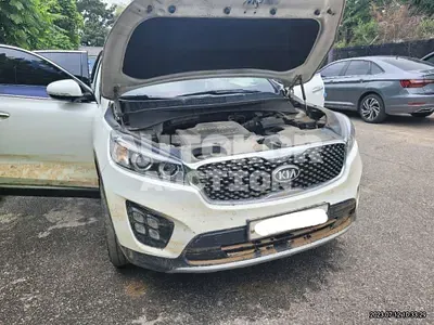 2017, Kia / Sorento, VIN: KNAPH81ABHA300116, diesel