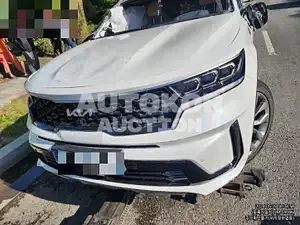 2023, Kia / Sorento, 9800 км., gas