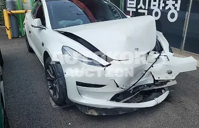 2020, Tesla / Model 3, VIN: 5YJ3E1EA3LF654261, electric