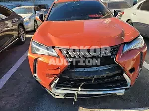 2019, Lexus / UX 250, VIN: JTHY6JBH4K2035723, 50000 км., hybrid, 1987 куб.см.