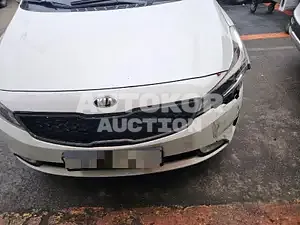 2018, BMW / Z1, VIN: KNAFK412BJA758260, 160824 км., gas