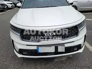 2022, Kia / Sorento, VIN: KNARJ81FHNA165991, 8711 км., gas