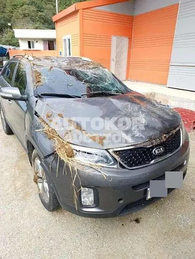 2014, Kia / Sorento, diesel, 1995 куб.см.