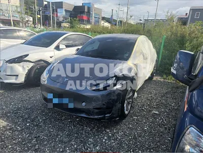2022, Tesla / Model Y, VIN: 7SAYG0EE6HF413546, 48020 км., electric
