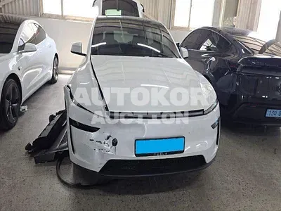 2025, Tesla / Model Y, VIN: LRWYGCFJ3SC240075, electric, 1 куб.см.