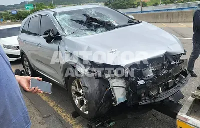 2019, Kia / Sorento, VIN: KNAPH81BDLA562327, 197098 км., diesel, 2199 куб.см.