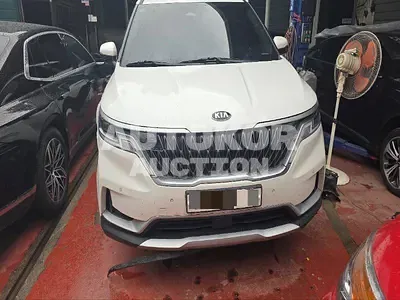 2020, Kia / Carnival, 233898 км., diesel, 2200 куб.см.