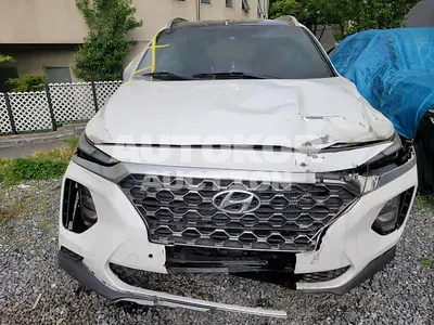 2020, Hyundai / Santa FE, VIN: KMHS281BBLU248674, diesel