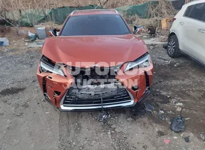 2019, Lexus / ux250h, 68035 км., hybrid