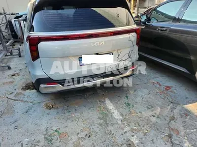 2025, Kia / Carnival, VIN: KNANC813BSS493734, 3300 км., gas