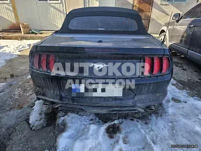2023, Ford / Mustang, 230444 км., gas