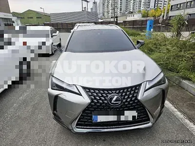 2024, Lexus / UX 250, hybrid